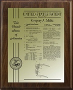 US Patent 8531394