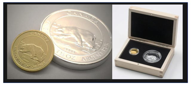 Polar Bear Gold and Silver Proof Set