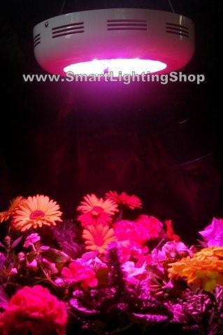 LED grow light