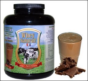 All Natural Chocolate Whey Protein