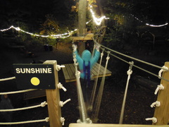 A young climber steps off the starting platform onto the first element of an Adventure Park course under the gently twinkling lights.