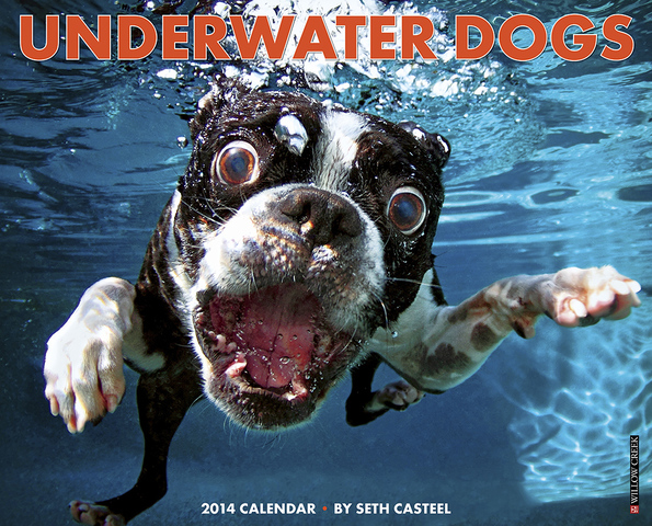 The Official 2014 Underwater Dogs Calendar