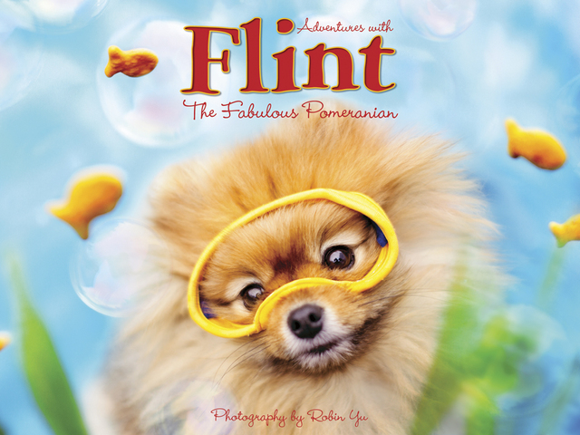 Adventures With Flint, The Fabulous Pomeranian, from Willow Creek Press