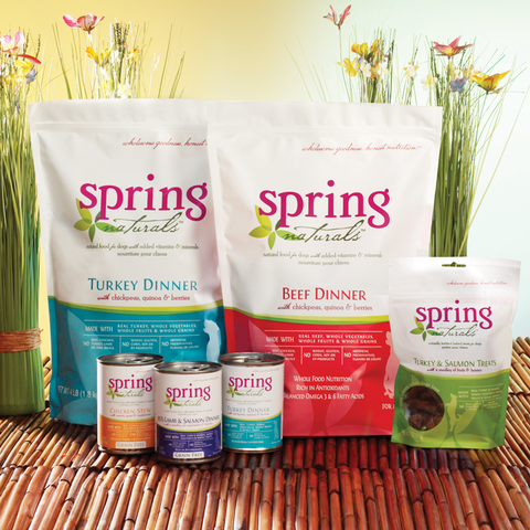 Spring Naturals, premium dinners and treats for pets. Domestically sourced, real meat is always the #1 ingredient, followed by healthful superfoods like eggs, quinoa, blueberries, and spinach. 