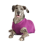 The Stretch Fleece popover jacket is a signature product from Gold Paw Series, made with recycled polyester and 7 percent spandex for a 4-way stretch and unbelievably soft, velvet-like finish. 