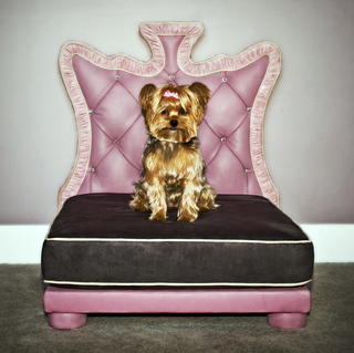 Signature Doggie Introduces Limited Production  Signature Doggie Beds For Pet Celebrities and Celebrities' Pets    …