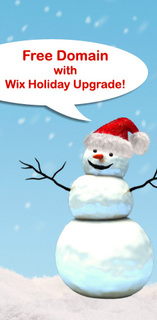 Wix Gives Out Free Domains