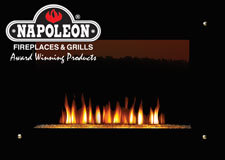 Go Green with Electric Fireplaces from Napoleon® Fireplaces