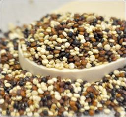 IFS Bulk Offers Wholesale Quinoa "Supergrain"