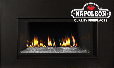 Napoleon Modern Gas Fireplace Insert