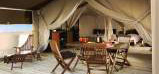 Really Wild Family Adventures with Eurocamp 2011 - Safari Tent Holidays In four European Countries 