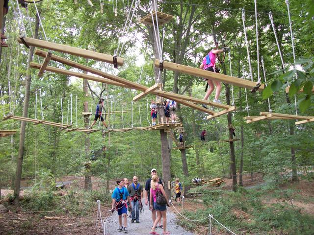 The Adventure Park at The Discovery Museum features a variety of "treetop trails" for beginner through advanced climbers. (photo by Anthony Wellman)