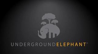 Live Transfer Phone Leads: A New Benefit at Underground Elephant 