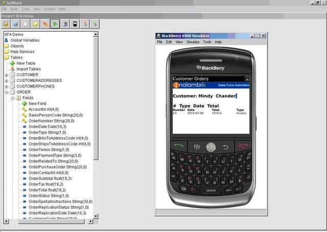 JadBlack: customer orders stored in Perst Lite and displayed in the BlackBerry simulator.