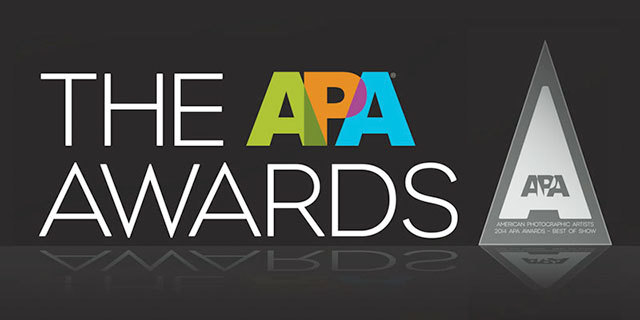 2014 APA Awards