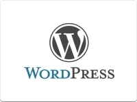 Create Professional Portfolio Websites with WordPress