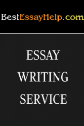 Custom Essay Writing Service