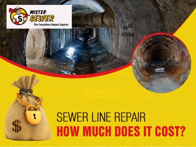 Mister Sewer hopes to help customers cut down on the cost of their sewer line repairs with their informative slide show. 