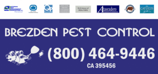 Brezden Pest Control Announces Winner of Ugly Bug Contest