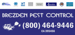 Brezden Pest Control launched an UGLY BUG CONTEST on their Facebook page during the month of August. 
