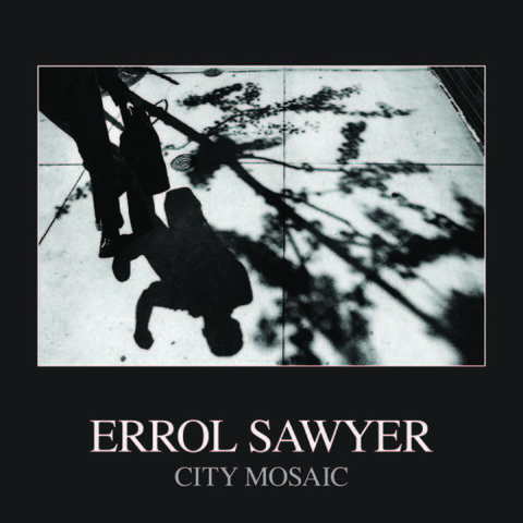 Errol Sawyer City Mosaic Cover