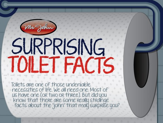 Learn some of the most interesting facts about your toilet with help from Mr. John's latest infographic. 