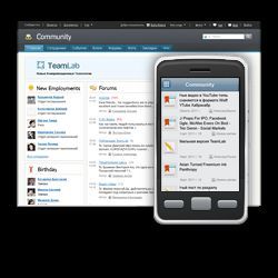 TeamLab Mobile Version