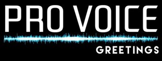 Website Redesign Of Provoice Greetings