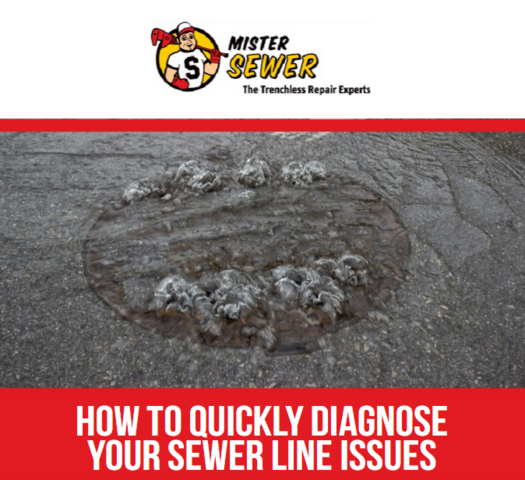 The best way to prevent sewer line issues in your home is to make yourself aware of the common signs of a problem.
