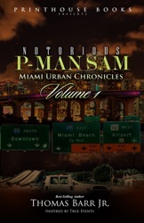 Miami's Urban Chronicles