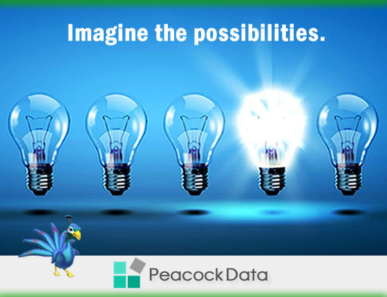 Peacock Data: Imagine the possibilities.