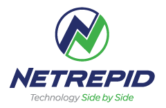 Netrepid Company Logo.