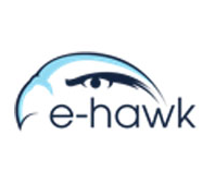 E-Hawk