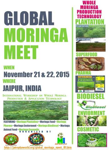 Moringa whole Production & Application Technology
