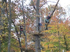Not just for kids. Here some adult climbers tackle one of the more challenging aerial trails at The Adventure Park at The Discovery Museum. (Photo: Outdoor Ventures)