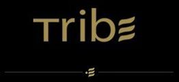 Award-Winning Artists Works Featured at Tribe Hotel, Nairobi