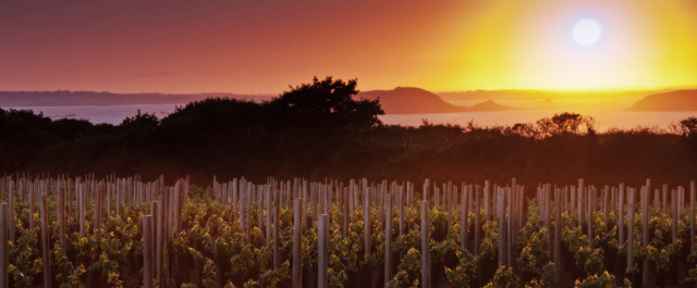 Witness some of Europe's most beautiful sunrises that rise over Sark's vineyards and light up the Channel Islands