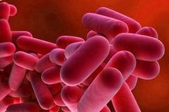 Legionnaires' Disease Outbreak Lawsuits Information Page Launched By Wright & Schulte LLC 
