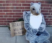 Treeless Squirrel needs a tree to call home.