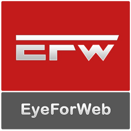 EyeForWeb, a Professional Web Design and Development Company, launches its new website