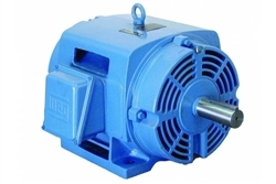 WEG Three-Phase General Purpose Motor