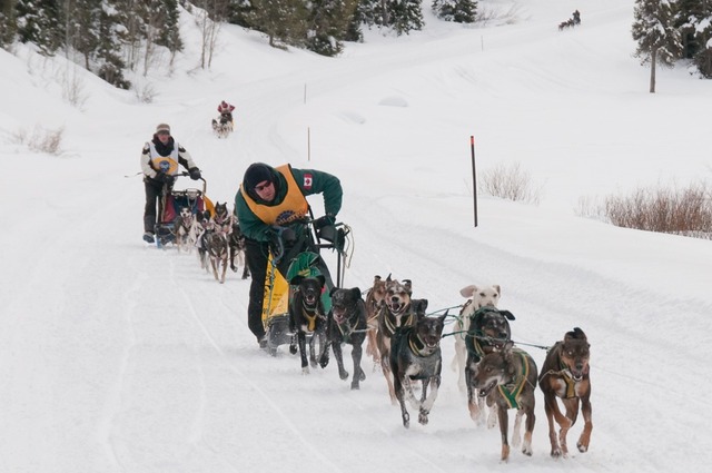 Buddy Streeper mushes from Wyoming to Utah to win the 2011 IPSSSDR 