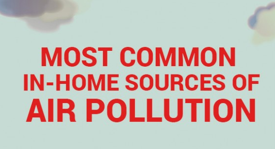 Keep your home toxin and air pollutant free with help from Tudi.