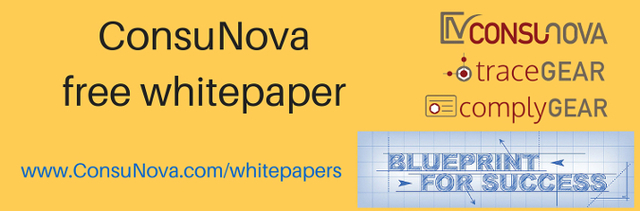 ConsuNova whitepaper for DO-178, DO-254 Requirements writing, and ARP 4754A Practices.