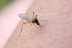 Southern Med Law Attorneys Are Investigating Zika Virus Microcephaly Birth Defect Lawsuits Associated With Zika Virus Or With The Chemical, Pyriproxyfen.
