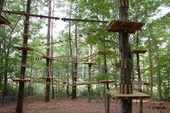 It's hard to imagine The Adventure Park without trees. Trees make it it all possible! (Photo: Outdoor Ventures)