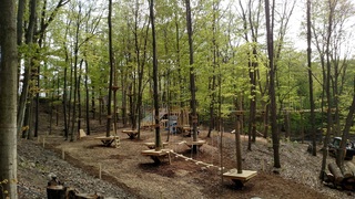 Treetop Adventure Park Opening This Friday
