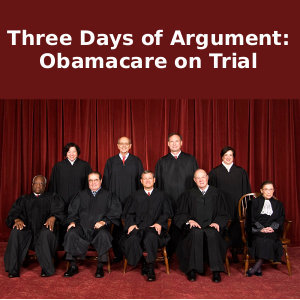 Three Days of Argument: Obamacare on Trial Audio Book