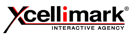 Xcellimark will be presenting on the key areas businesses should focus on for online success.