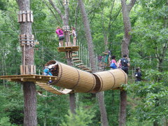 Humans and trees "doing their thing" at The Adventure Park. Natural fun out in fresh air and leafy surroundings. (Photo: Outdoor Ventures)